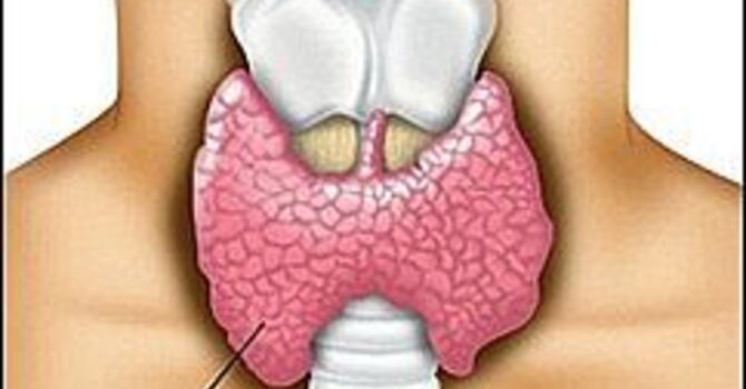 Hypothyroidism – The Hidden Epidemic Part 1
