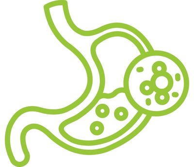 Link to: https://centerfornaturalhealthcareredwing.com/digestive