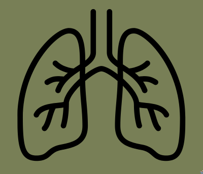 Link to: https://centerfornaturalhealthcareredwing.com/services/copd-lung-treatment