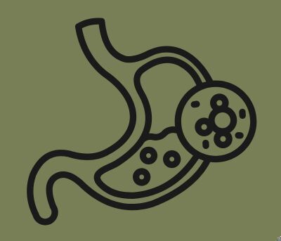 Link to: https://centerfornaturalhealthcareredwing.com/digestive-complaints