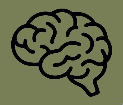 Link to: https://centerfornaturalhealthcareredwing.com/services/brain-and-mental-health