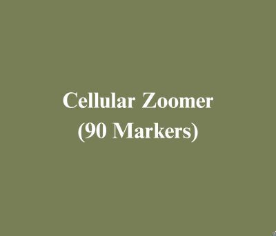 Link to: https://vibrant-wellness.com/tests/cellular-zoomer?_gl=1*1oh69mg*_up*MQ..&gclid=CjwKCAjwwL_UBhAjEiwAEhuT5AJ5cwmsthN6vkGUGpKErbaDhuu9C33pYp87Xdp639rHNZZj6AAxthoC_dkQAvD_BwE&gbraid=0AAAAABP32TkPKD6TtZCtHJznBuoGgdbXd